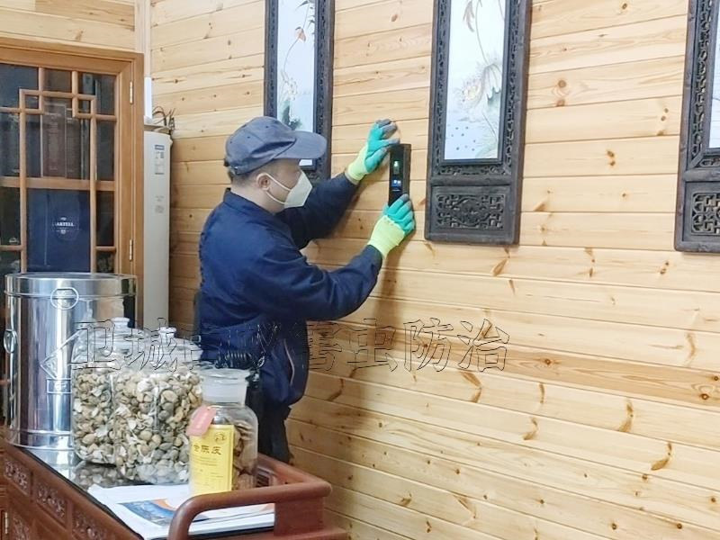 惠州市白蚁防治中心电话-惠州专业除白蚁服务公司推荐