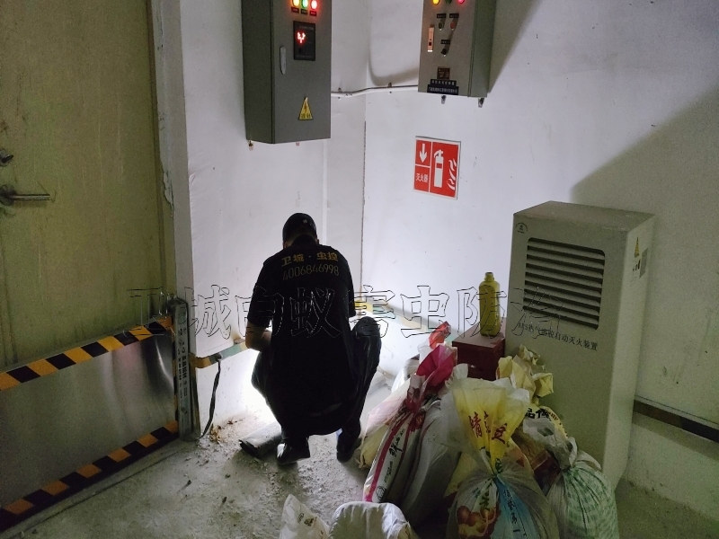 深圳宝安区白蚁防治中心推荐-宝安灭白蚁危害电缆线路引发电气故障