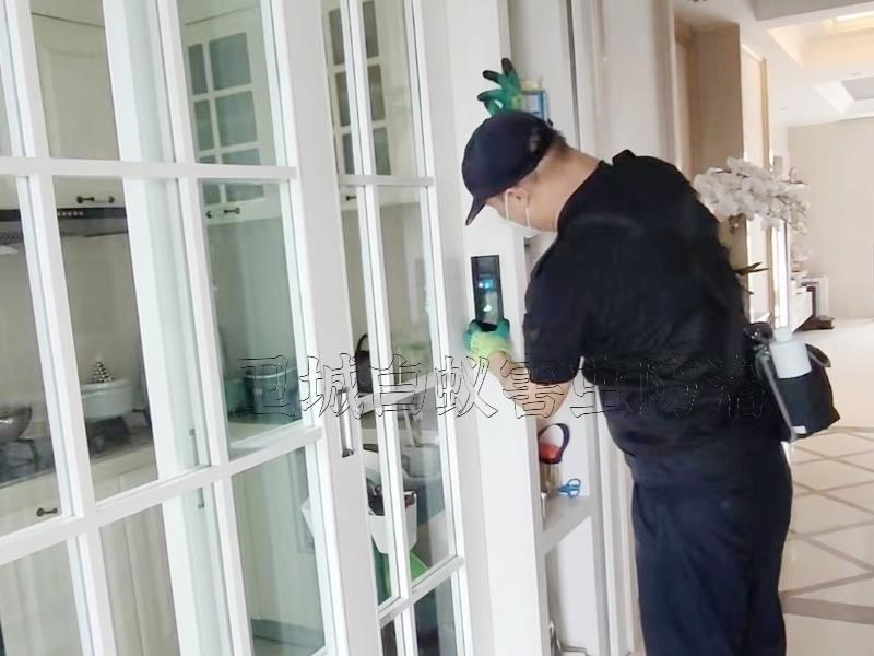 深圳龙岗区白蚁防治中心-龙岗灭白蚁对医院进行严格的白蚁预防措施