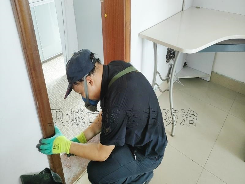 普宁市白蚁防治中心电话推荐_普宁灭白蚁公司_普宁市卫城白蚁防治有限公司