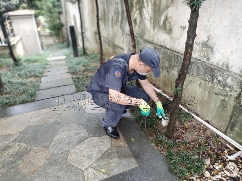 荔湾海龙白蚁防治所_海龙白蚁防治清除灭治白蚁专业快速效率好