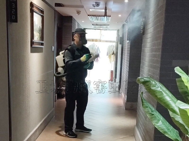 蟑螂的危害及防治方法,惠阳淡水杀虫公司,淡水灭蟑螂,淡水杀虫公司